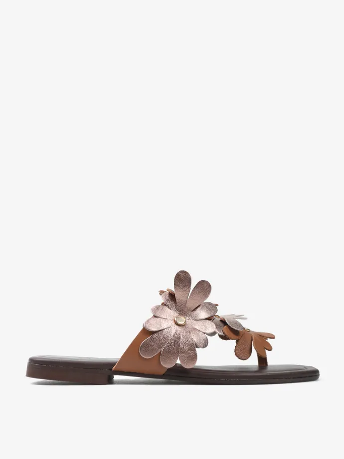 KLAPKI HEGO'S Milano